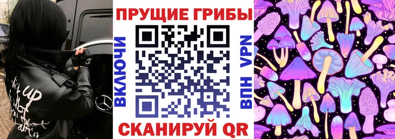 Галлюциногенные грибы ЛСД  Новодвинск 